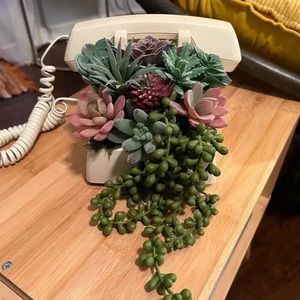 Vintage office phone with succulents